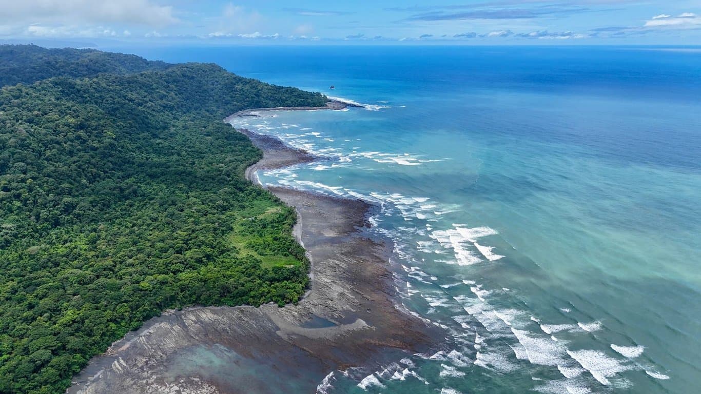 Corcovado: Biodiversidad pura en el sur de Costa Rica